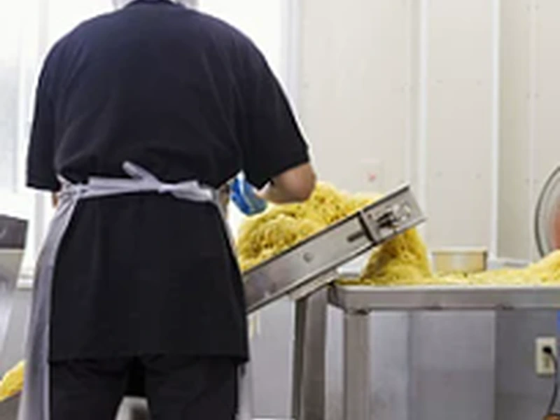 Food-processing workshops