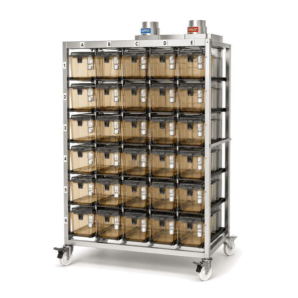 Individually Ventilated Cage Rack main product view